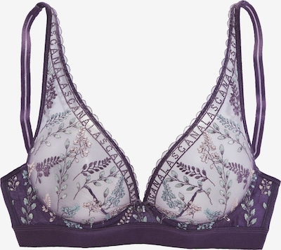 LASCANA Bra in Light green / Plum / Powder, Item view
