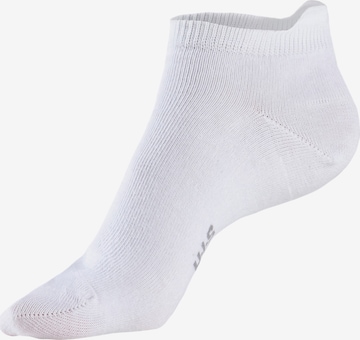 H.I.S Sportsocken in Mischfarben