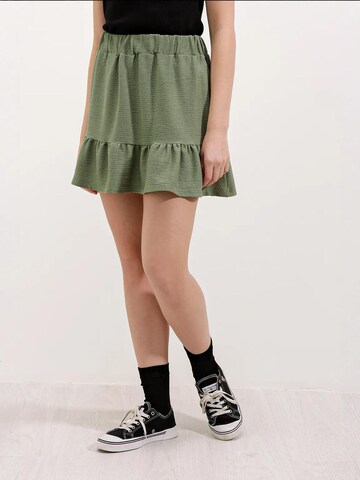 Bigdart Rok in Groen