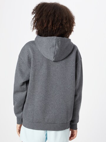 ADIDAS SPORTSWEAR Sportsweatshirt 'Essentials Logo friend Fleece' i grå