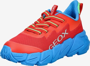 Baskets GEOX en rouge : devant