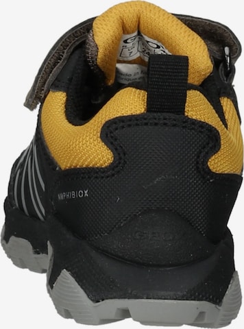 GEOX Sneakers in Bruin