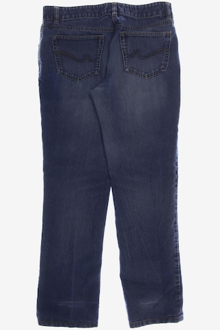 NEXT Jeans in 29 in Blue