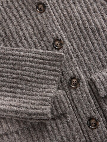 Next Strickjacke in Beige
