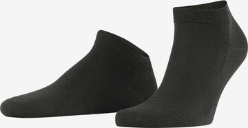 FALKE Athletic Socks in Grey: front