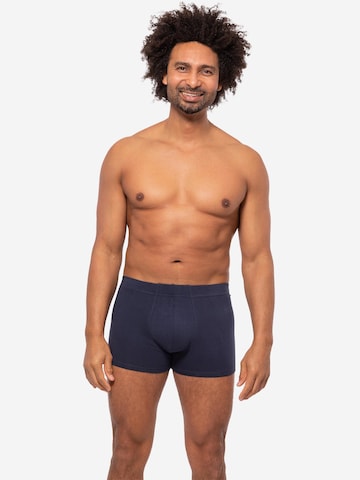 Almonu Boxer shorts 'Cotton' in Blue