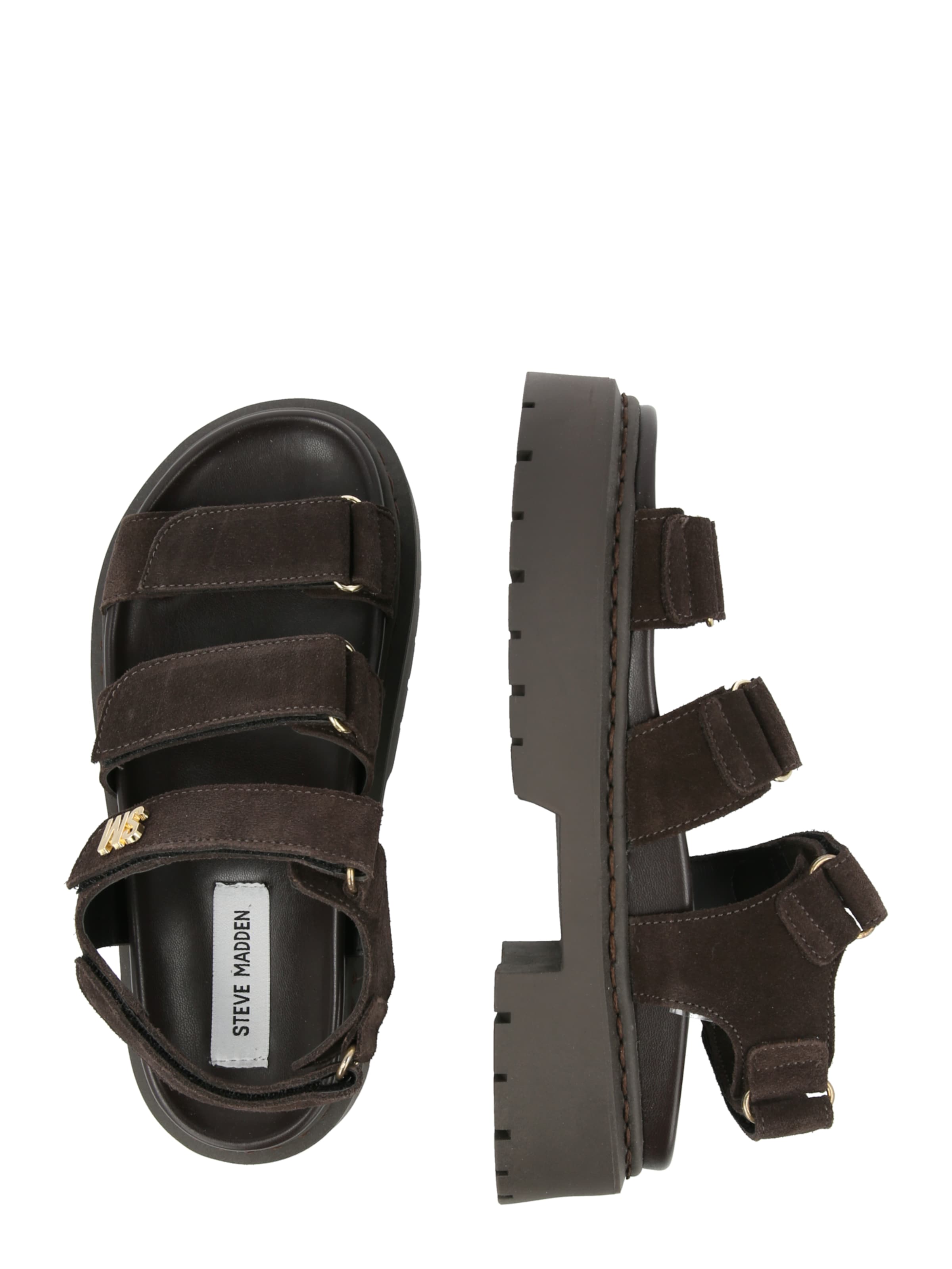 STEVE MADDEN Sandal 'Glorias' in Brown
