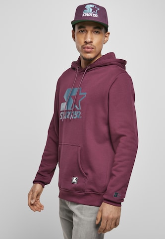 Starter Black Label Regular Sweatshirt in Purple