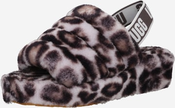 UGG Slippers in Grey: front