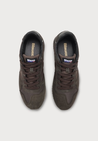Blauer.USA Sneakers laag in Bruin