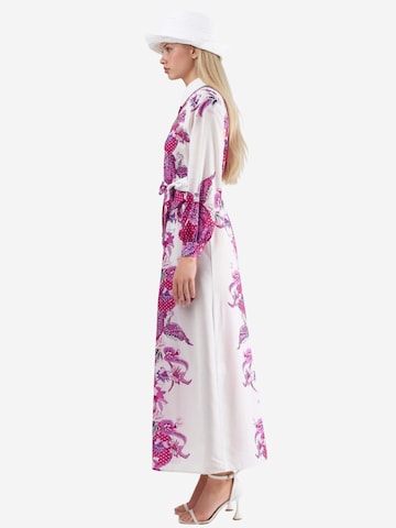 MSN Collection Obleka | mešane barve barva