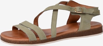 Apple of Eden Strap Sandals in Green: front