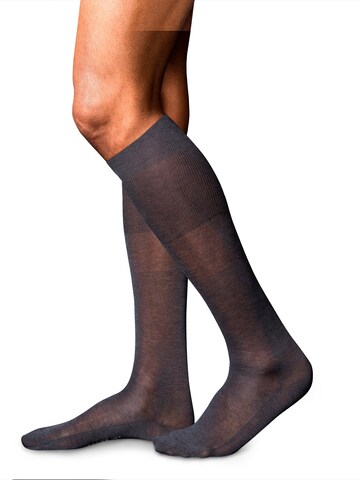 FALKE Knee High Socks 'No. 9 Pure Fil d´Écosse' in Grey