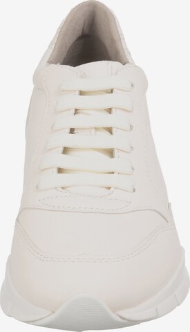 GEOX Sneakers 'Sukie' in White