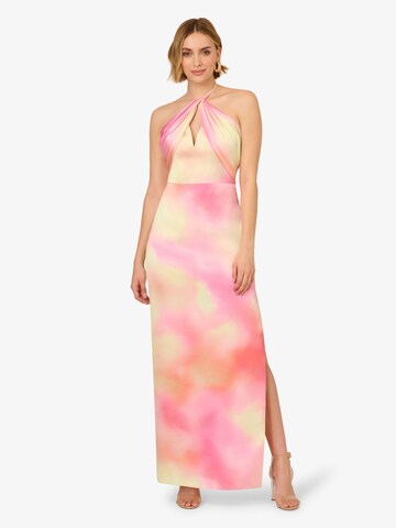 Adrianna Papell Kleid in Pink: Vorderseite