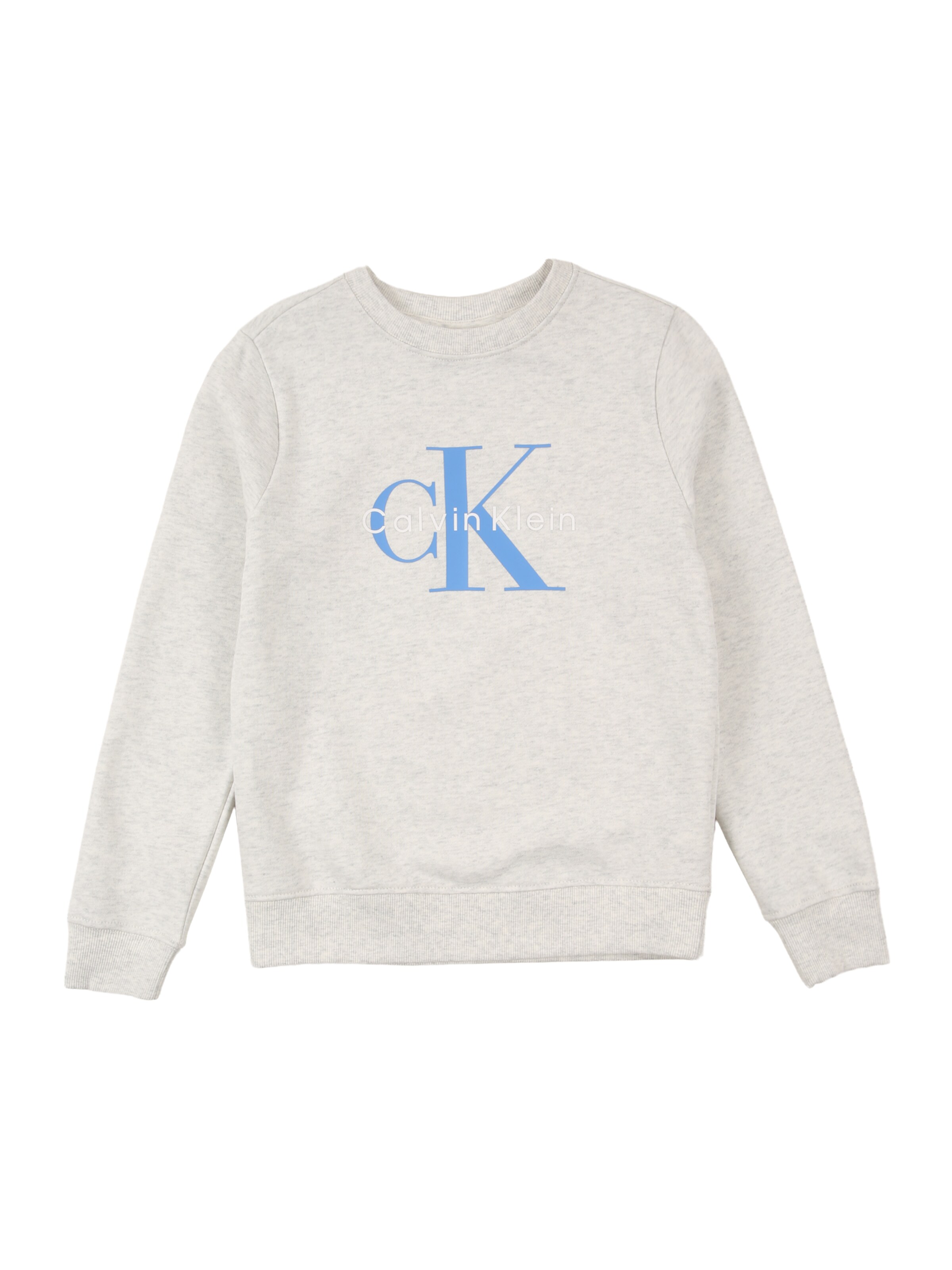 Calvin Klein Jeans Свитшот в Серый: спереди