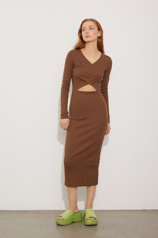 Envii Dress 'Ally' in Brown: front