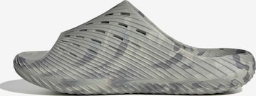 ADIDAS SPORTSWEAR Šľapky 'Purechill' - Sivá: predná strana