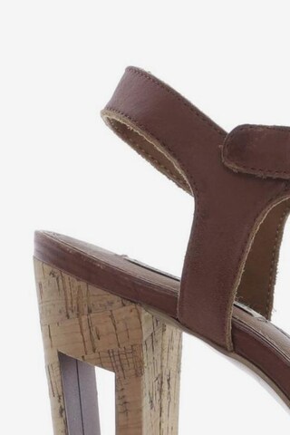 Calvin Klein Jeans Sandals & High-Heeled Sandals in 36 in Brown