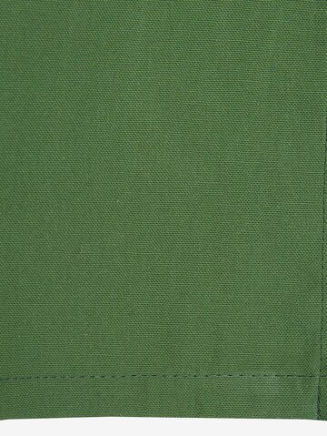 TOM TAILOR Curtains & Drapes in Green