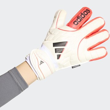 ADIDAS PERFORMANCE Athletic Gloves in White