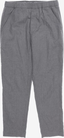 DRYKORN Pants in 29 in Grey: front