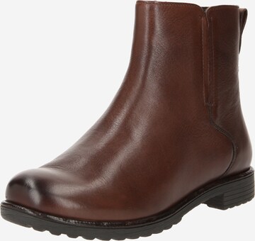 Bottines 'BRONCO' ARA en marron : devant