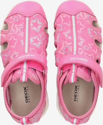 GEOX Sandalen in Roze