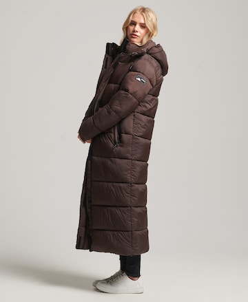 Manteau d’hiver 'Touchline' Superdry en marron