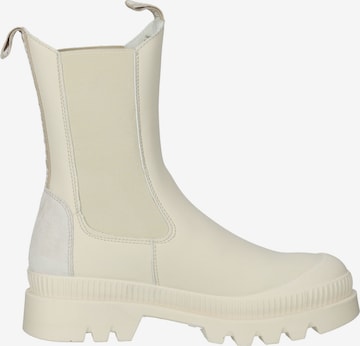 STEVE MADDEN Chelsea boots in Beige