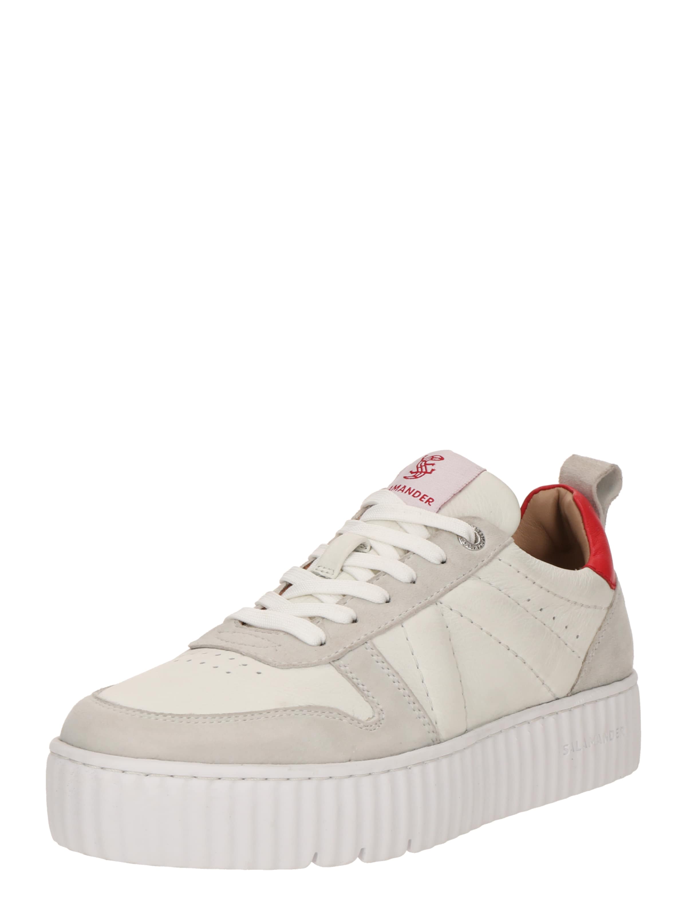 Baskets basses SALAMANDER en blanc : devant