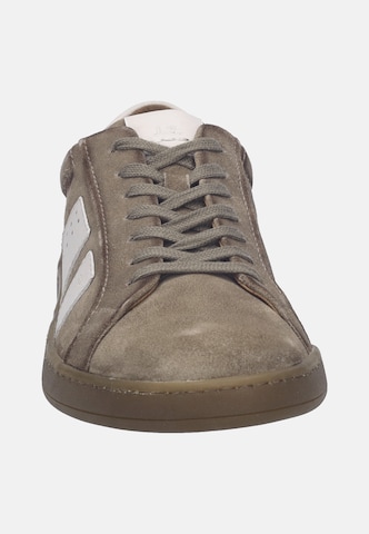 JOSEF SEIBEL Sneaker 'Lio 07' in Beige