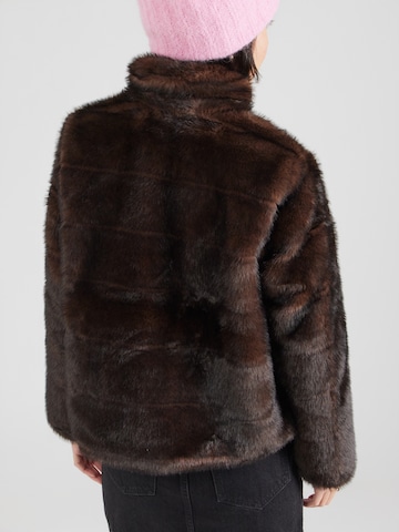 brūns NÜMPH Starpsezonu jaka 'Windall'