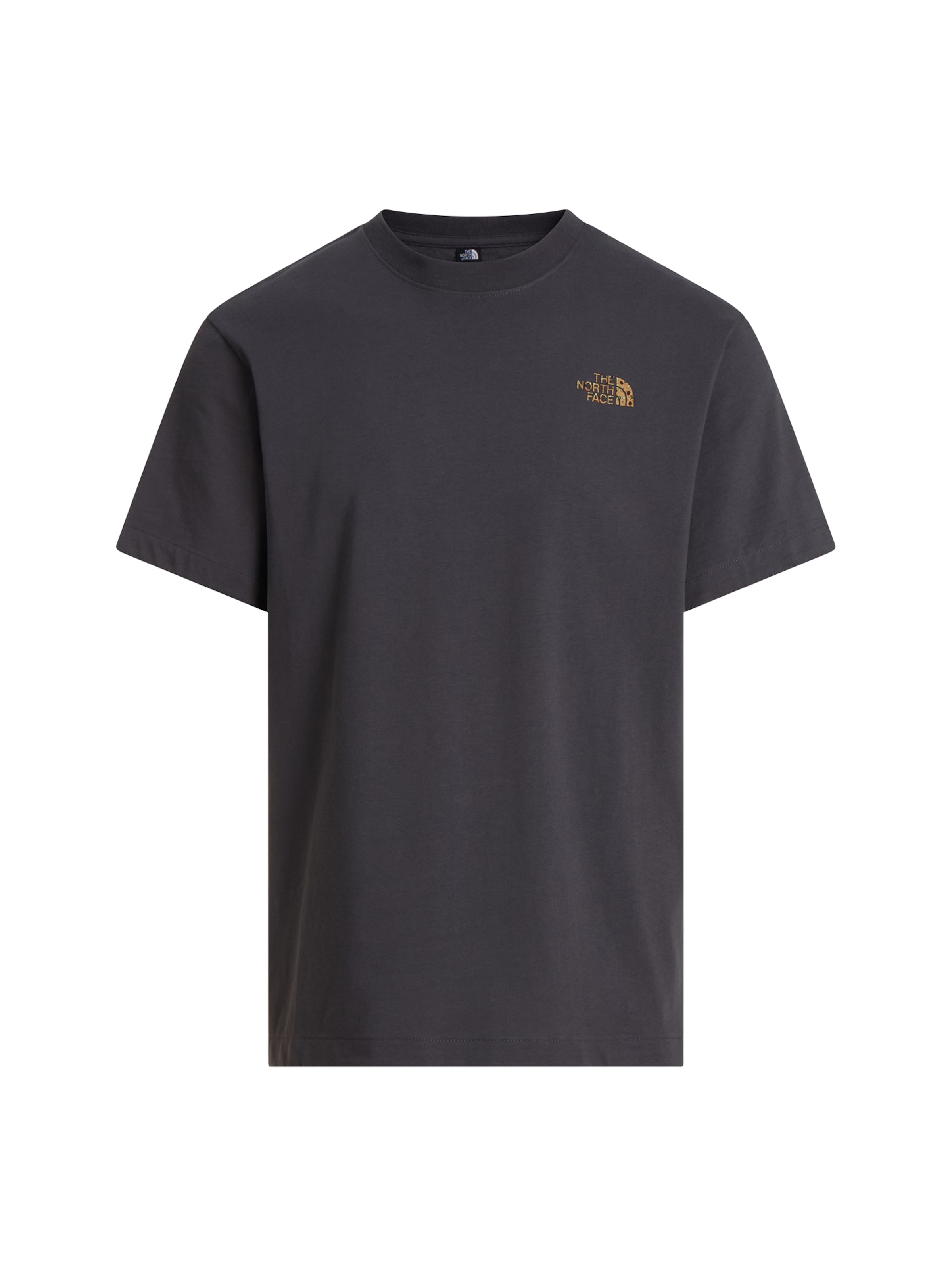 THE NORTH FACE - Camisa em cinzento: frente