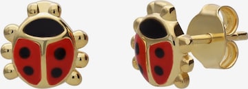 Lucardi Jewelry 'Statement' in Gold: front