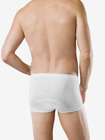 uncover by SCHIESSER Panty 'Original Classics' in White