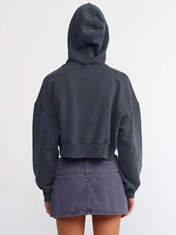 Dilvin Sweatshirt in Grey