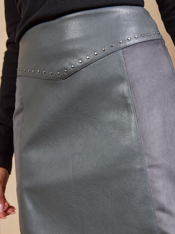 love & roses Rok in Grijs