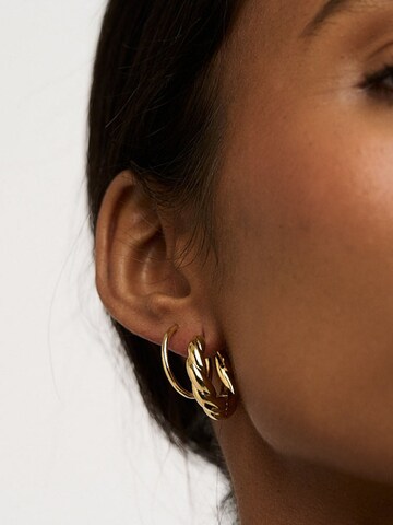 Orelia Earrings in Gold