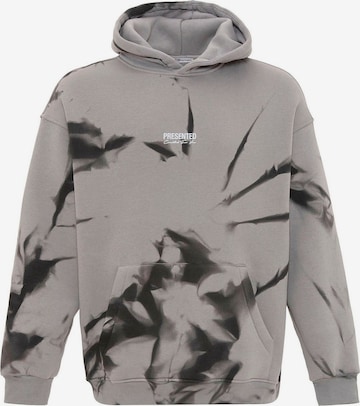 Felpa di Dandalo in grigio: frontale