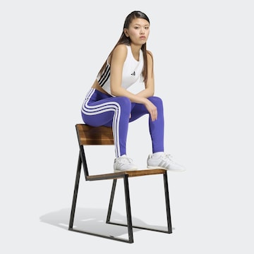 purpurinė ADIDAS SPORTSWEAR Siauras Sportinės kelnės 'Essentials'