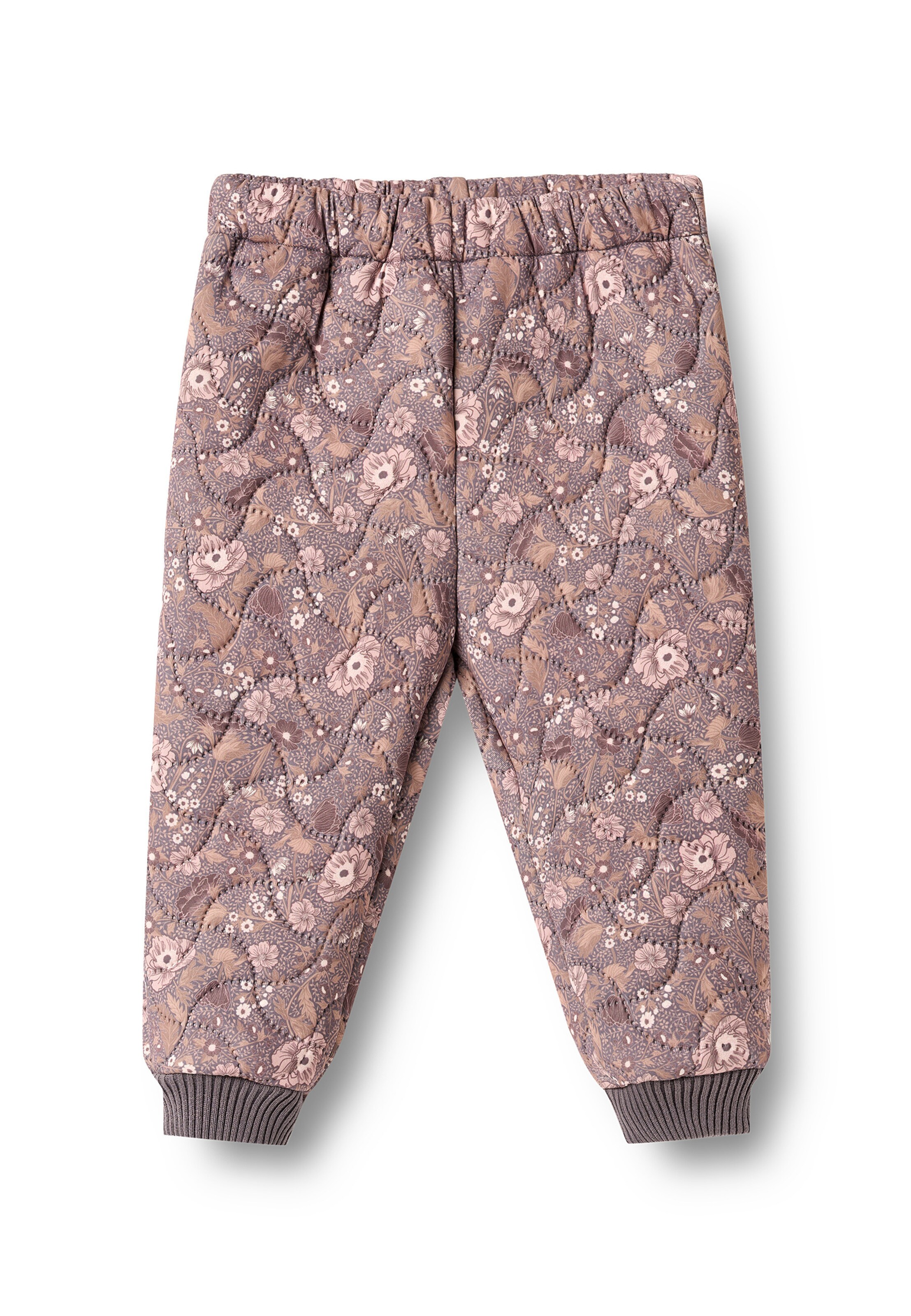 Pantalon fonctionnel 'Alex' WHEAT en violet : devant