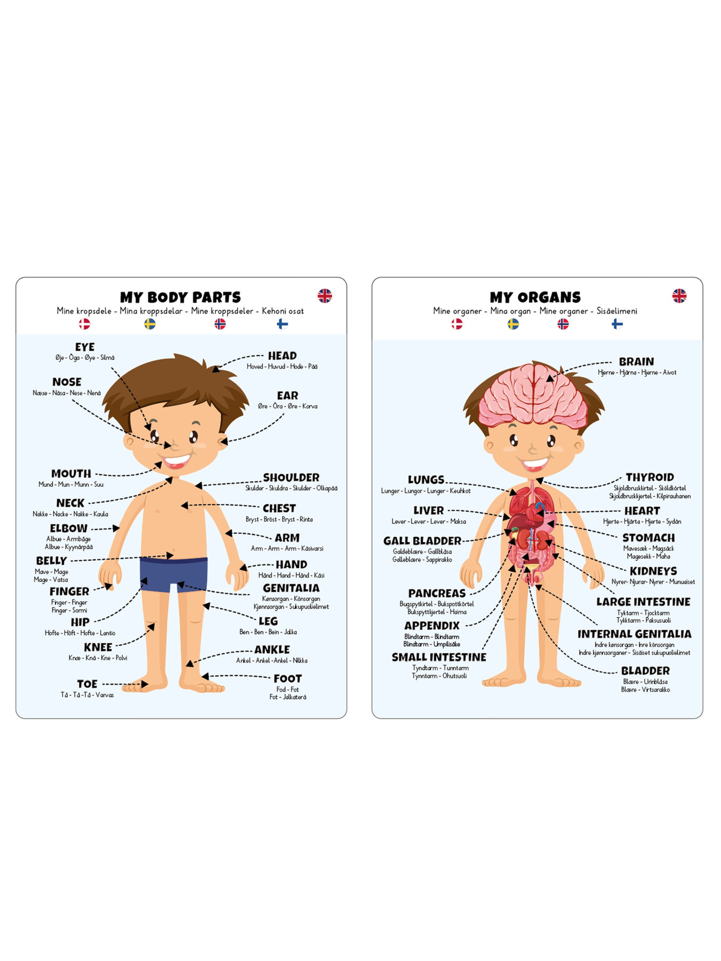 Barbo Toys Spel 'Junge' in Gemengde kleuren: voorkant