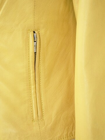 Jilani Tussenjas 'Tulip' in Geel