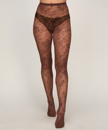 Collants Hunkemöller en marron : devant