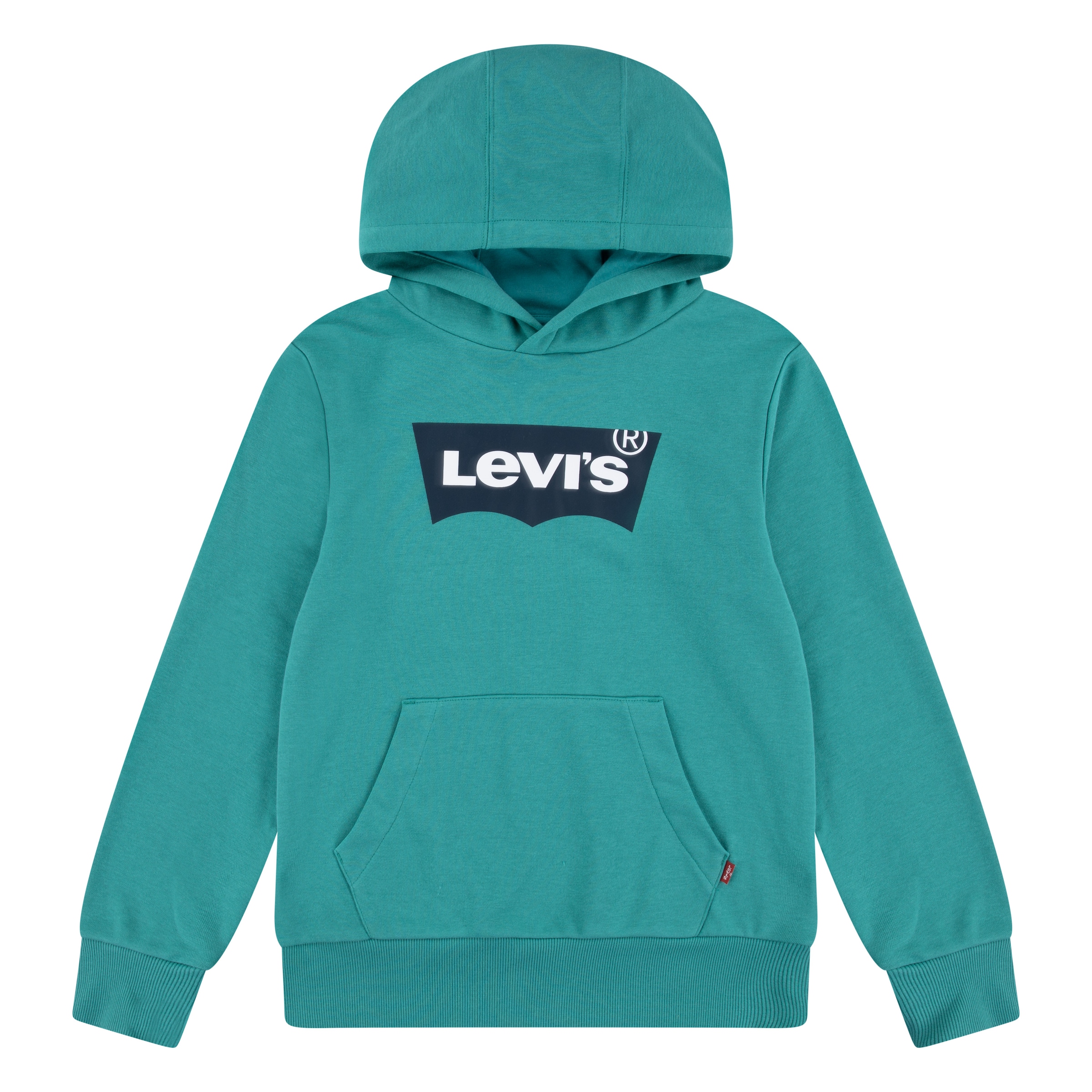 Levi's Kids Μπλούζα φούτερ σε πράσινο: μπροστά