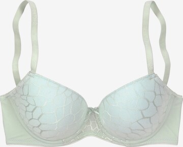 LASCANA T-shirt Bra in Green: front