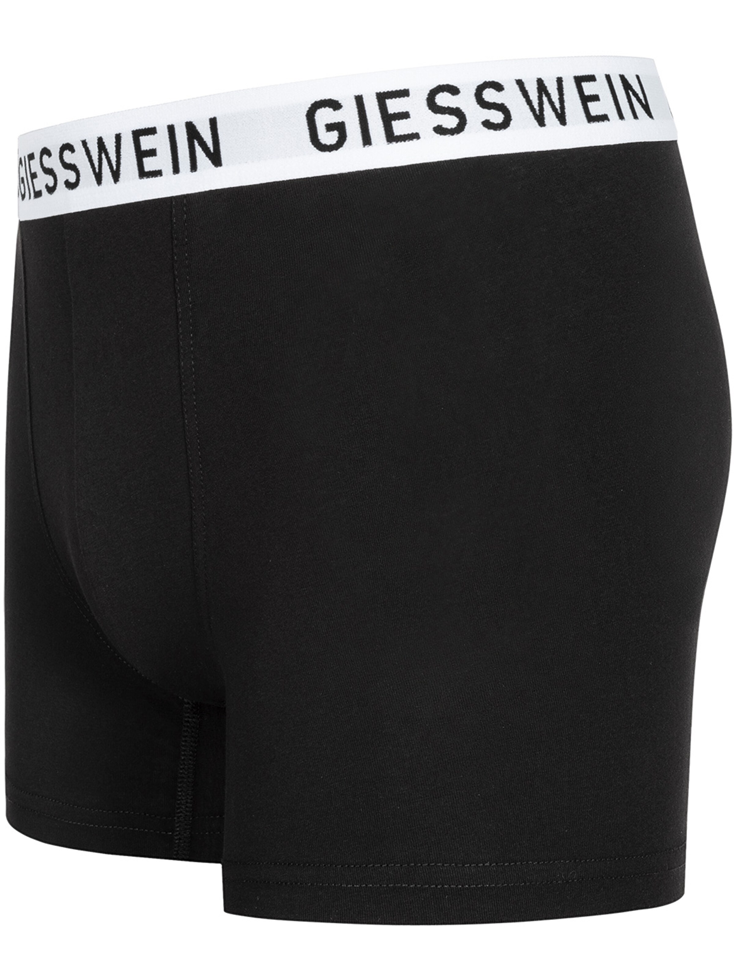 GIESSWEIN Boxer shorts in Grey