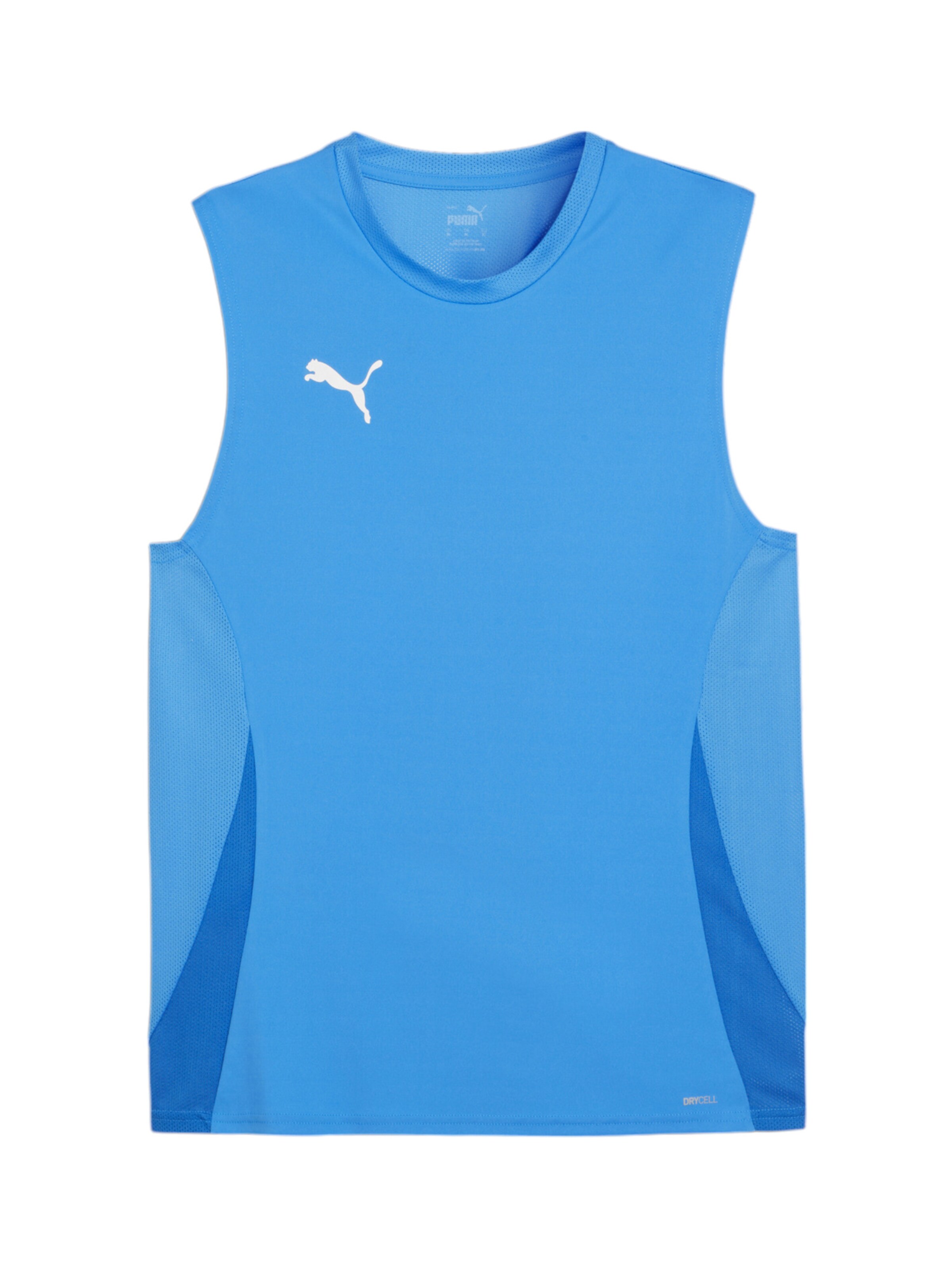 PUMA Shirt  'TeamGOAL' in Blau: Vorderseite
