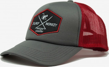 Surf Monkey Athletic Cap in Grey: front